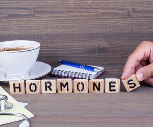 Układ hormonalny - budowa i funkcje
