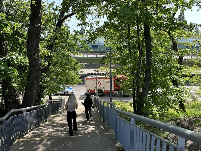 Rowerzysta potrącony przez pociąg Intercity. Zginął na miejscu. Dramat na stacji Warszawa ZOO