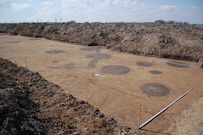 Badania archeologiczne na budowie