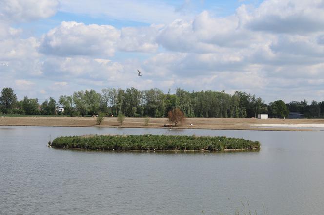 Kuter Port Nieznanowice - nowe kąpielisko blisko Krakowa