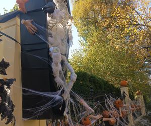 Willa na Jaśkowej Dolinie w Gdańsku znów straszy! Tegoroczny motyw Halloween budzi niepokój