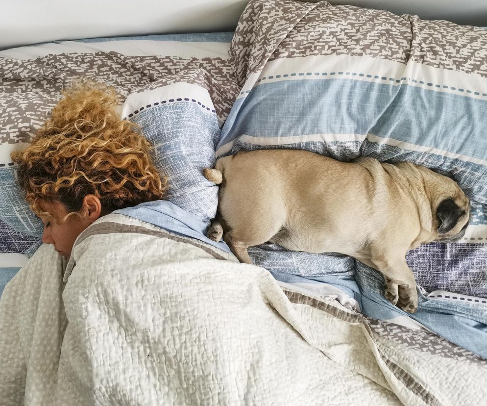 Czy spanie ze zwierzętami jest zdrowe? Plusy i minusy obecności pupila w nocy
