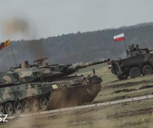 Leopard 2 i Rosomak