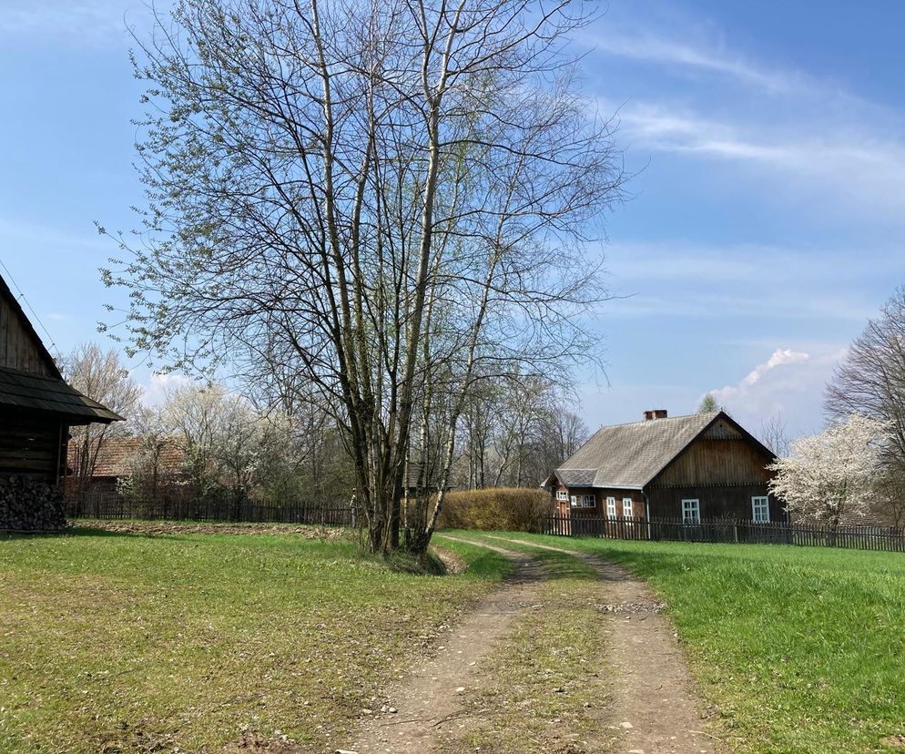 Skansen w Nowym Sączu obchodzi 50-lecie istnienia