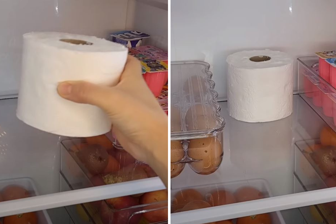 papier toaletowy w lodówce