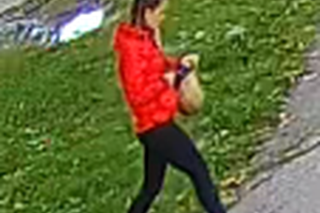 Kradzież w Gliwicach