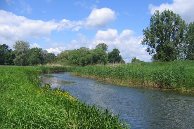 Weekend we Wrocławiu? Mamy aż 6 pięknych miejsc docenionych przez sieć Natura 2000