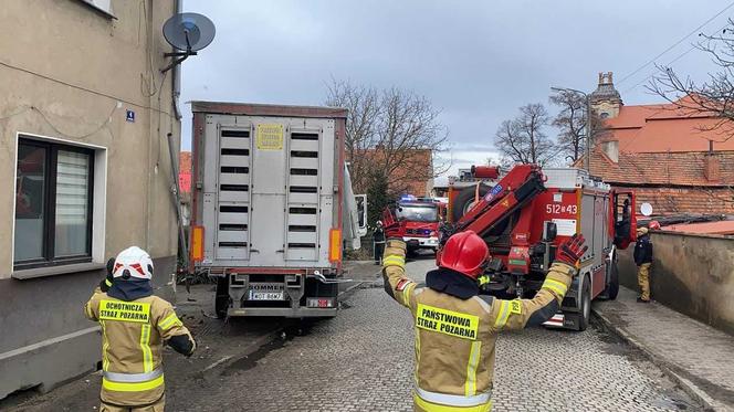 Ciężarówka z drobiem wjechała w budynek