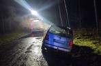 Tragiczny pożar samochodu niedaleko Krzeszyc. Nie żyje jedna osoba