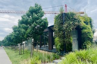 Aura w Poznaniu - aparthotel i zielona fasada