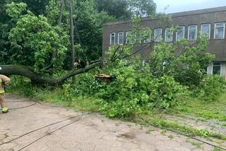 Wichura i ulewy w Podlaskiem. 15 tys. odbiorców bez prądu [ZDJĘCIA]