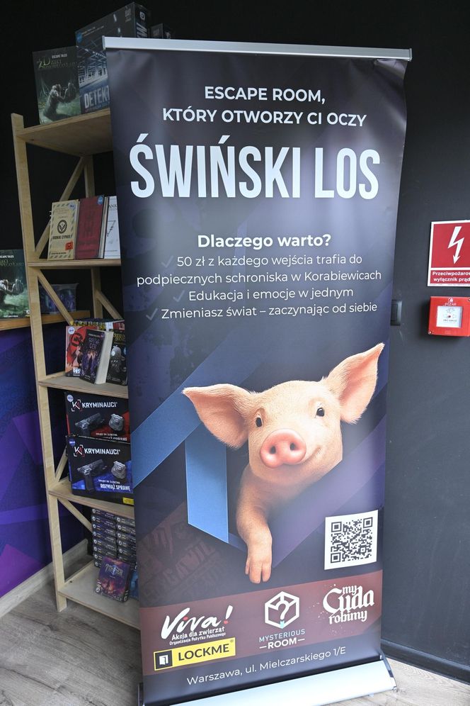 Reporterzy "Super Expressu" zamienili się w świnie. To pierwsze takie miejsce w Polsce. Nietypowy escape room w Warszawie