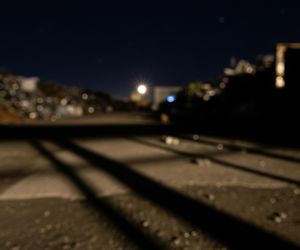 Dramat zwierzęcia na złomowisku. Czy jego śmierć mogła być inna?