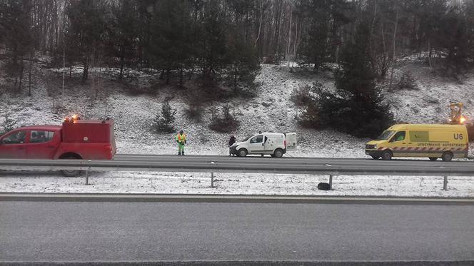 Ranny pies zamarzał na środku autostrady. Przez dwie godziny nie otrzymał żadnej pomocy [AUDIO, ZDJĘCIA]