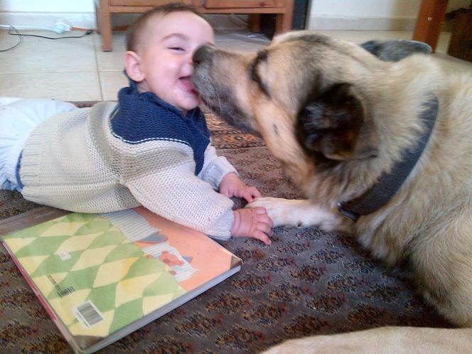PSY I DZIECI.
