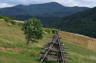 Te zapomniane małopolskie góry są idealne na rodzinny wyjazd. Nie ma tu drożyzny i długich kolejek 