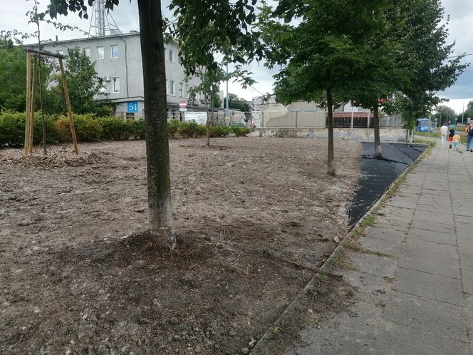 Park kieszonkowy w Siedlcach