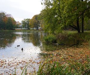 Park Lubomirskich w Białymstoku jesienią 