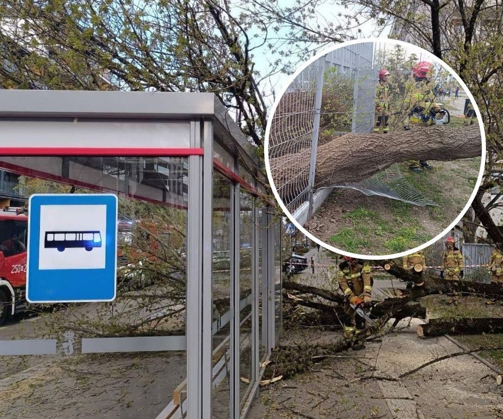 Potężna wichura w Warszawie. Drzewo spadło na ludzi czekających na autobus
