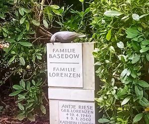 Ohlsdorfer Friedhof w Hamburgu