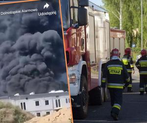 Potężny pożar pod Wrocławiem. Zapalił się dach budynku w Zabrodziu 