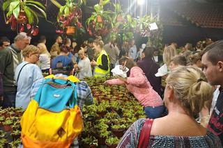 Krwiożercze rośliny opanowały katowicki Spodek! Trwa Festiwal Roślin Owadożernych [ZDJĘCIA, AUDIO]