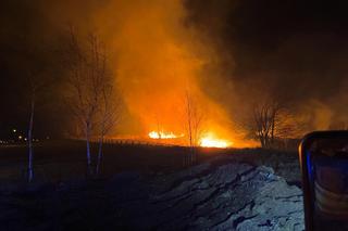 9 hektarów w ogniu! Zagrożona była farma