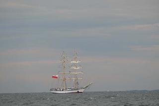 ParadaZagleGdyni2014_FotMZwierz_710150