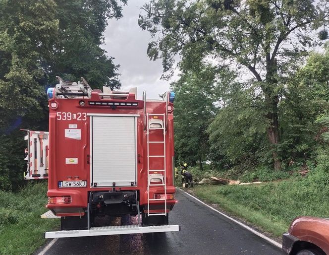 Groźne burze przechodzą przez woj. lubelskie