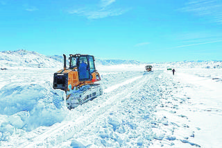 Mordercza zima zbiera żniwa