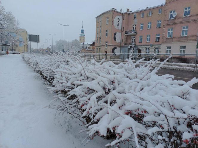 Leszno wygląda bajkowo! Na walentynki sypnęło śniegiem