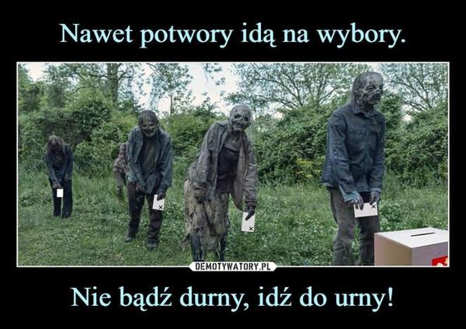 Wybory 2023 najlepsze MEMY. Szydera na maksa! Internauci bezlitośni dla polityków