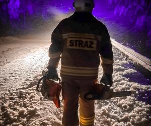 Prawie 200 interwencji strażaków w związku z opadami śniegu.