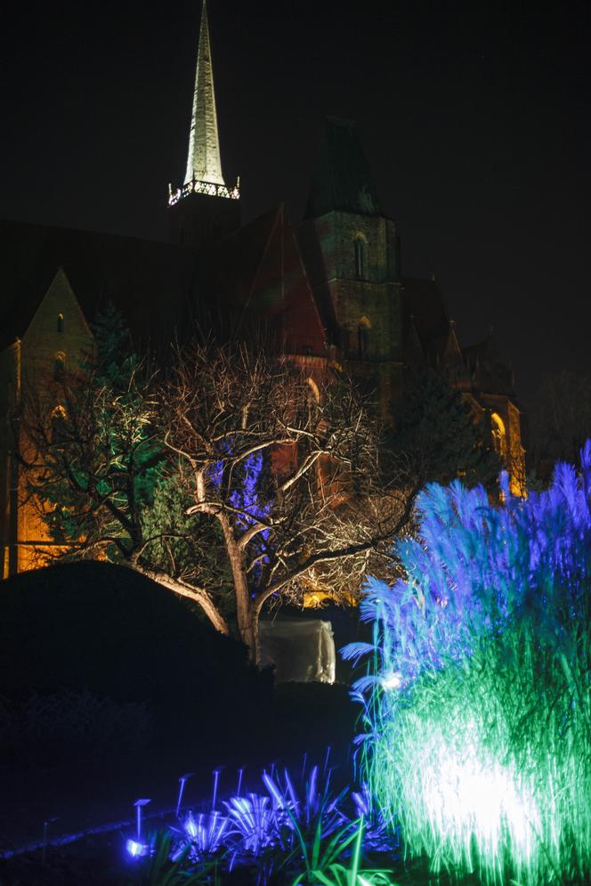Lasery, muzyka i kolorowe iluminacje w Ogrodzie Botanicznym we Wrocławiu
