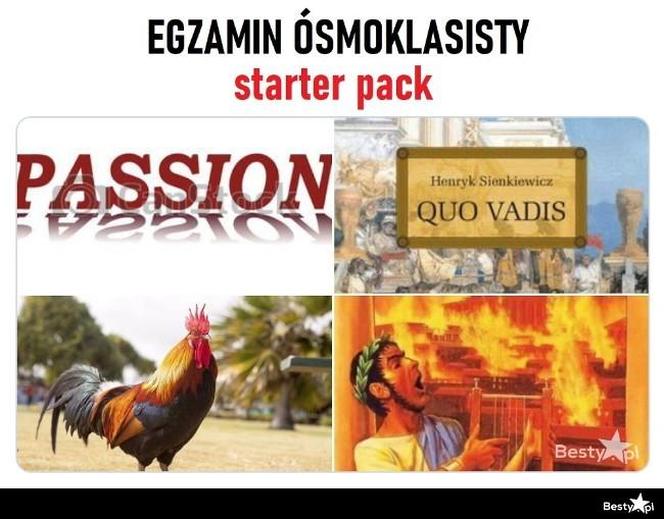 Egzamin ósmoklasisty 2024 memy! Padniesz ze śmiechu, gdy to zobaczysz [GALERIA]