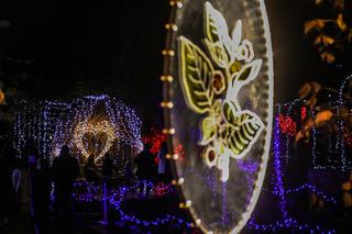 Ogród Botaniczny UW w blasku miliona świateł!