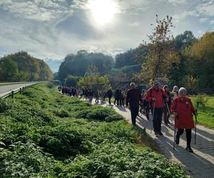 55. Rajd Pieczony Ziemniak na Działach Grabowieckich