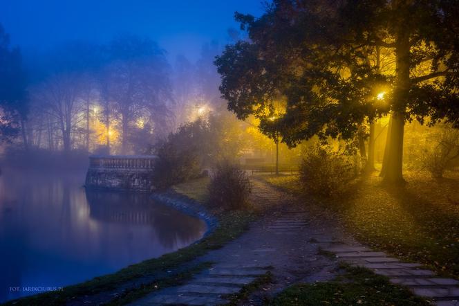 Park Południowy w gęstej mgle [ZDJĘCIE]