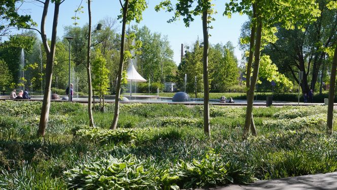 To najpiękniejszy park miejski w Olsztynie według AI. Zajmuje niemal 13 hektarów!