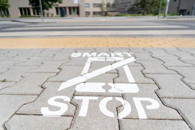 We Wrocławiu powstają nowe znaki na drogach. Sprawdź, co będą oznaczały