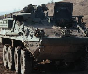 Transporter Stryker na Ukrainie