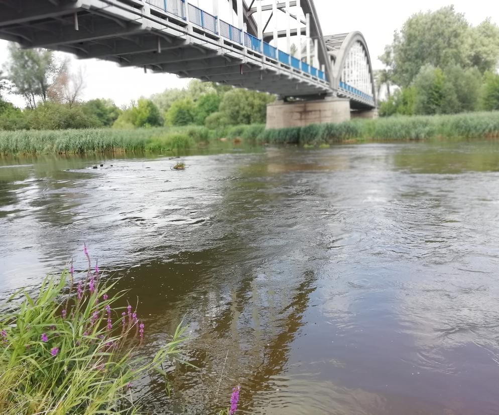 tereny nad Pilicą w Białobrzegach 