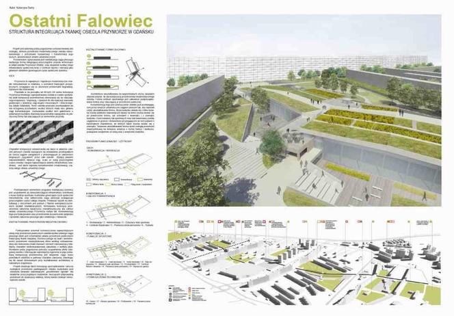 Katarzyna Burny, wyróżniony projekt Ostatni Falowiec