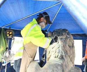 Renowacja koszalińskich lwów