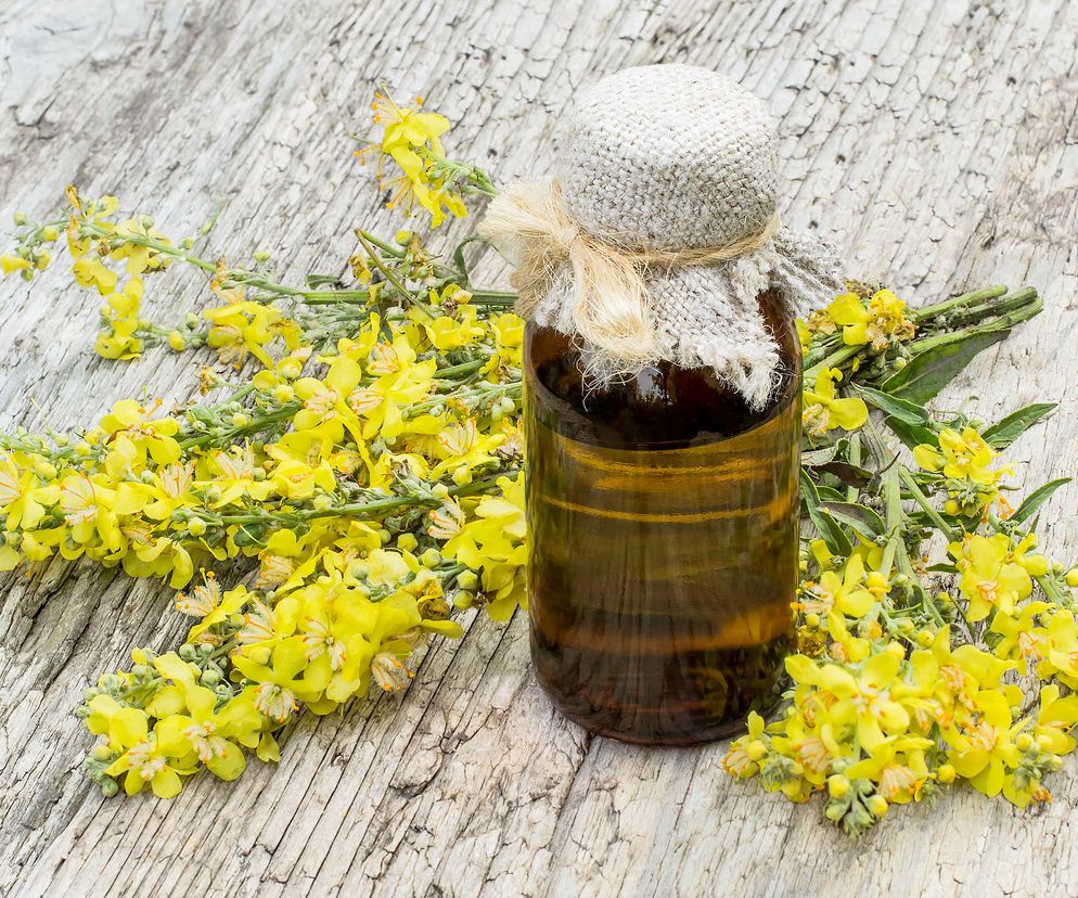 Dziewanna sprawdza się, gdy dokucza ci suchy kaszel, zapalenie oskrzeli, ból gardła, nieżyt żołądka, biegunka, czy kolka jelitowa.