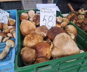 Ceny grzybów na Nowym i Starym Kleparzu w Krakowie