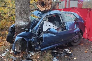 Tragiczny wypadek na drodze Mądrzechowo – Ząbinowice. 18-latka nie żyje [22.10.2022]