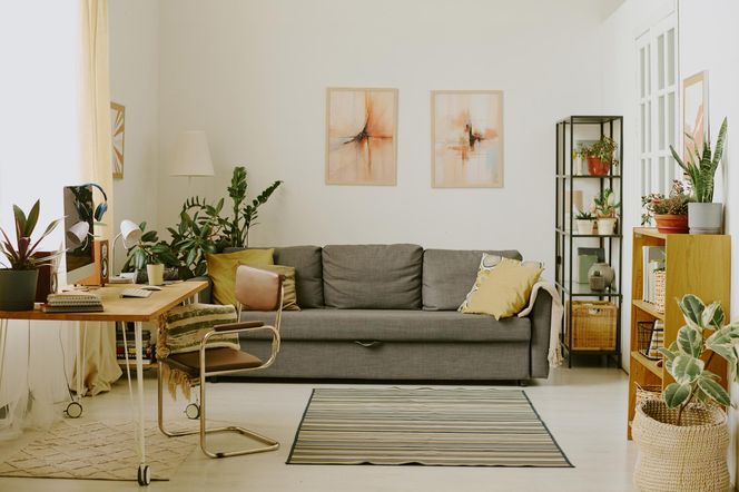Biophilic w mieszkaniu 