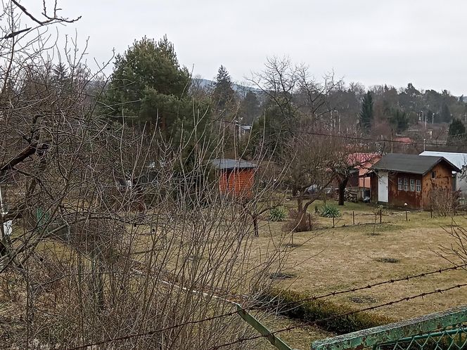 Rodzinny Ogród Działkowy "Kadzielnia" w Kielcach