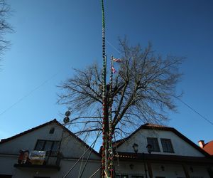 Konkurs palm wielkanocnych w Lipnicy Murowanej